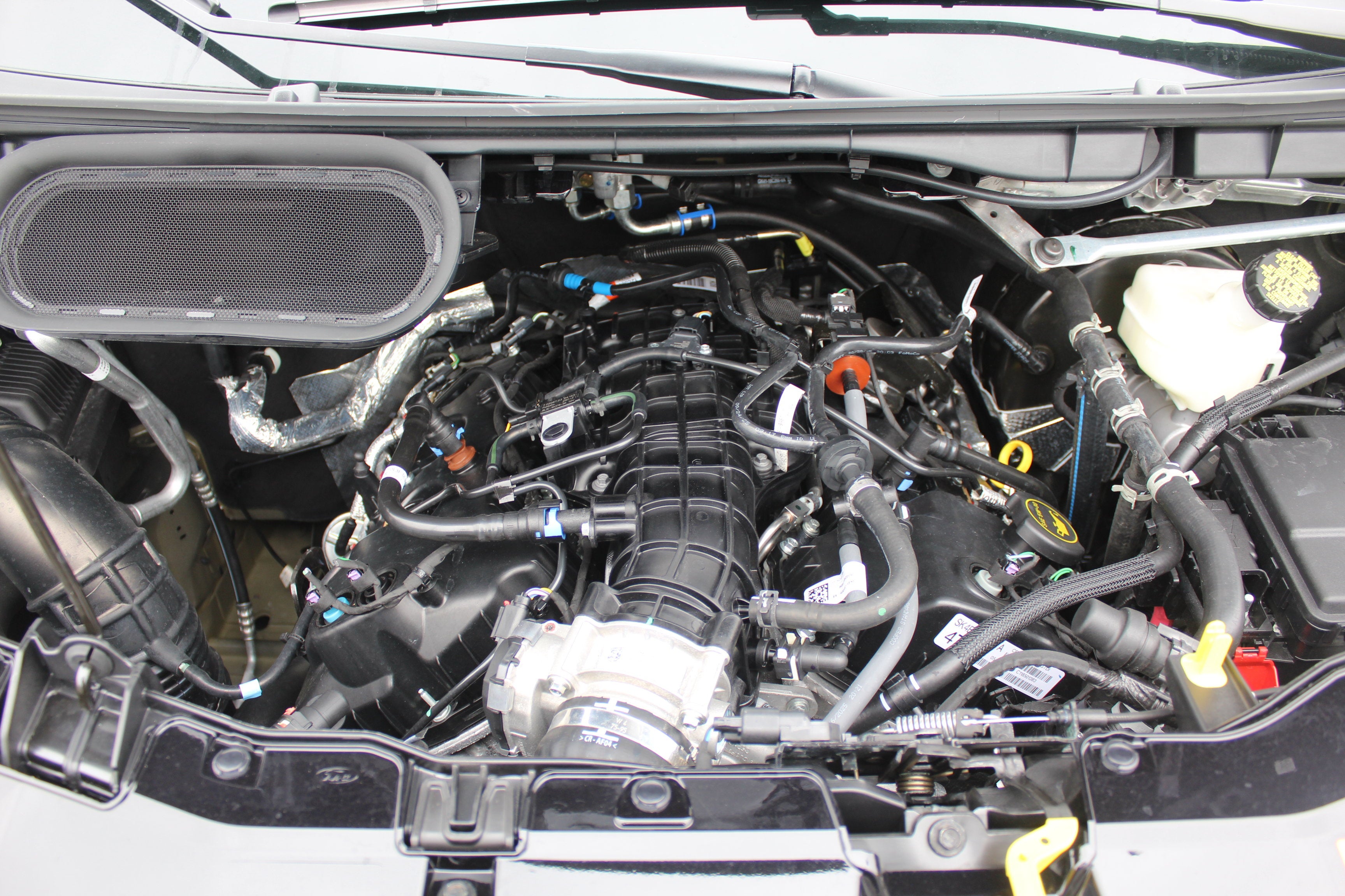 2026 Ford Transit Boundary Waters Edition by Waldoch