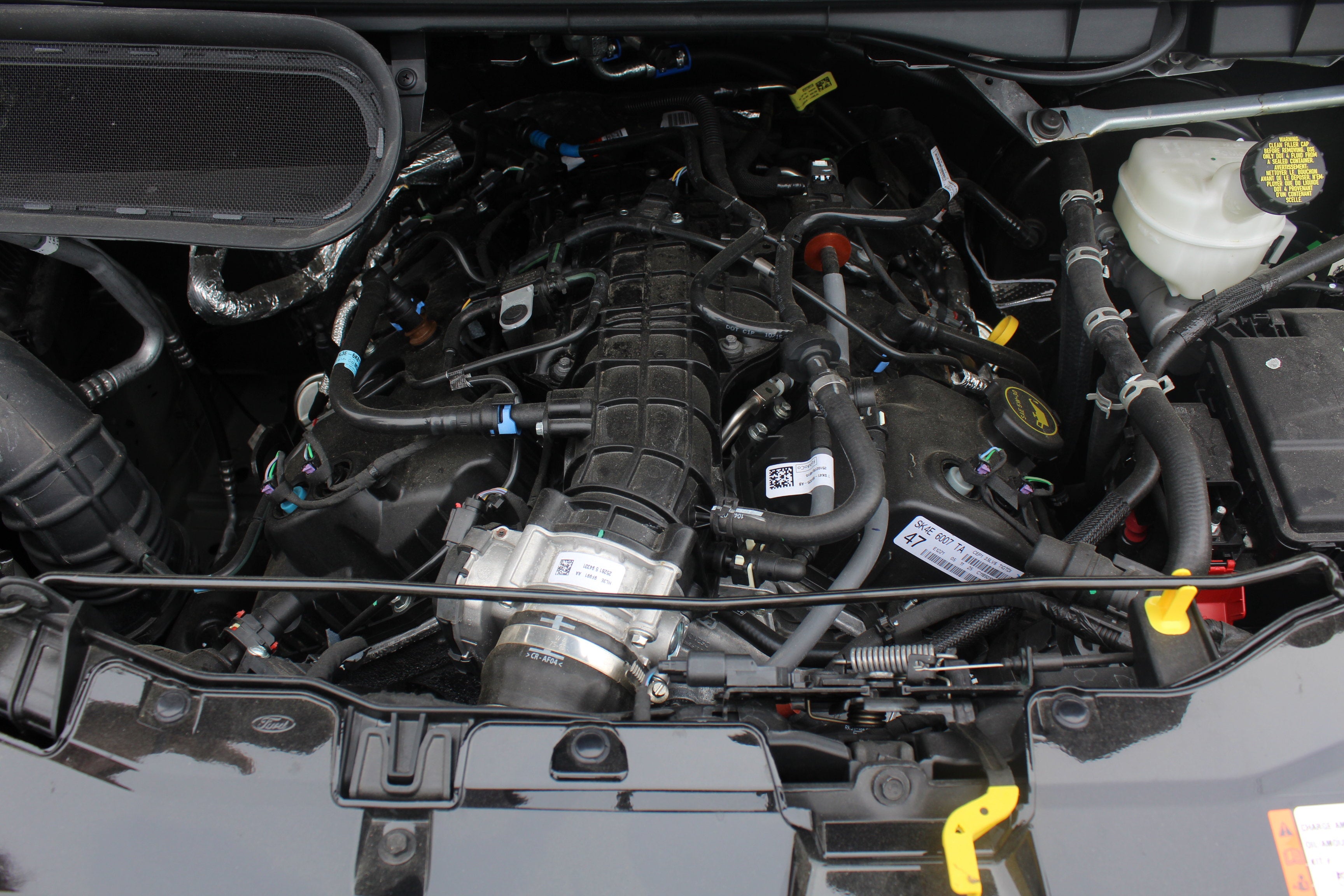 2026 Ford Transit Galaxy Edition by Waldoch