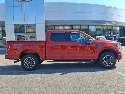 2023 Ford F-150 Base