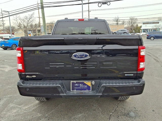 2023 Ford F-150 Base