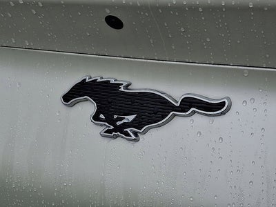 2021 Ford Mustang Mach-E Base