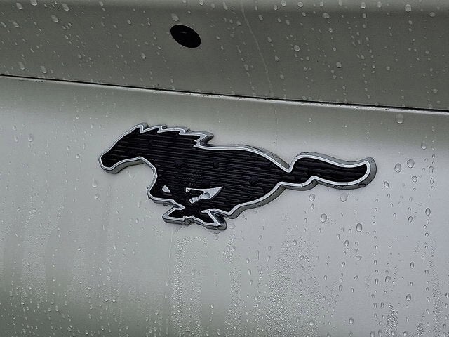 2021 Ford Mustang Mach-E Base