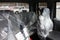 2026 International MV607 Jerr-Dan 6-Ton Steel XLP SD Carrier